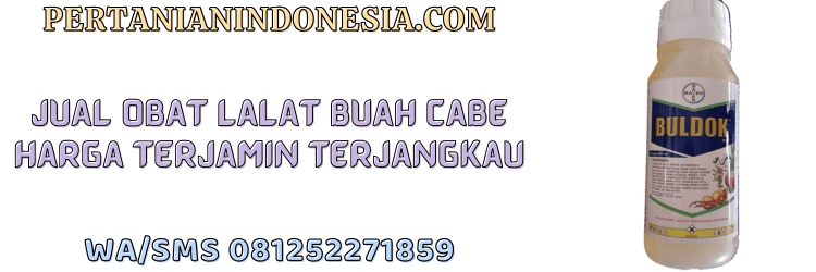 jual,murah,terjangkau,toko pertanian terdekat,pertanian indonesia